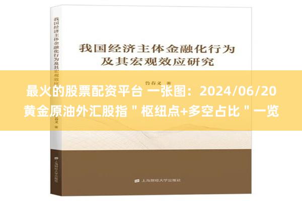 最火的股票配资平台 一张图：2024/06/20黄金原油外汇股指＂枢纽点+多空占比＂一览