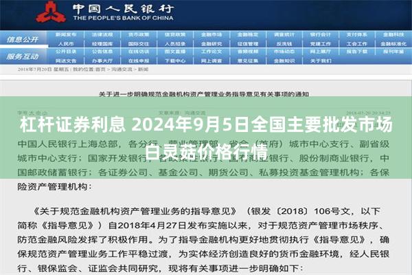 杠杆证券利息 2024年9月5日全国主要批发市场白灵菇价格行情