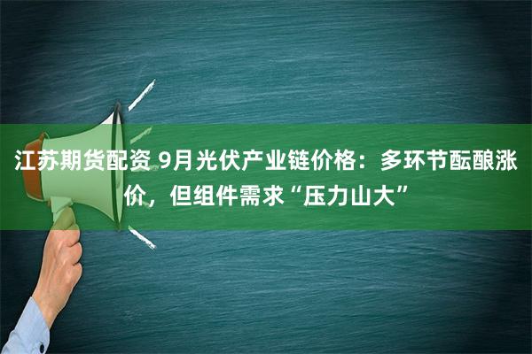 江苏期货配资 9月光伏产业链价格：多环节酝酿涨价，但组件需求“压力山大”