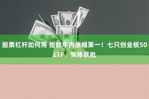 股票杠杆如何用 指数年内涨幅第一！七只创业板50ETF，集体获批