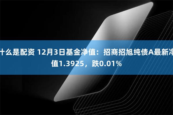 什么是配资 12月3日基金净值：招商招旭纯债A最新净值1.3925，跌0.01%