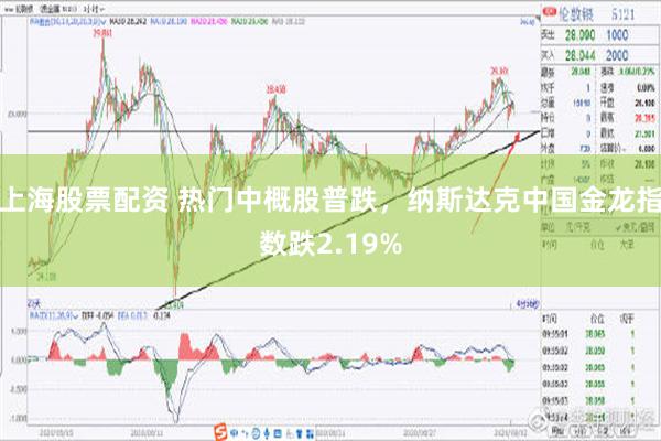 上海股票配资 热门中概股普跌，纳斯达克中国金龙指数跌2.19%