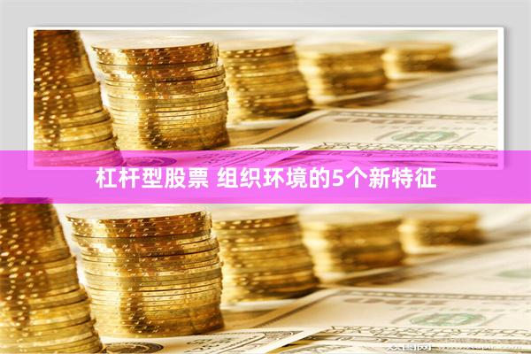 杠杆型股票 组织环境的5个新特征